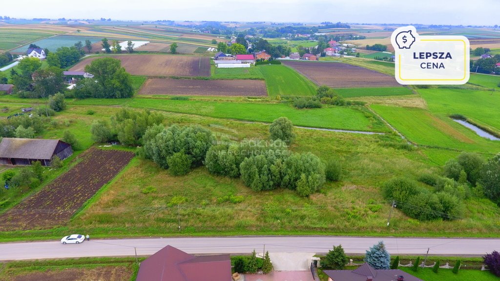 Działka budowlana na sprzedaż Dobranowice  7 800m2 Foto 1