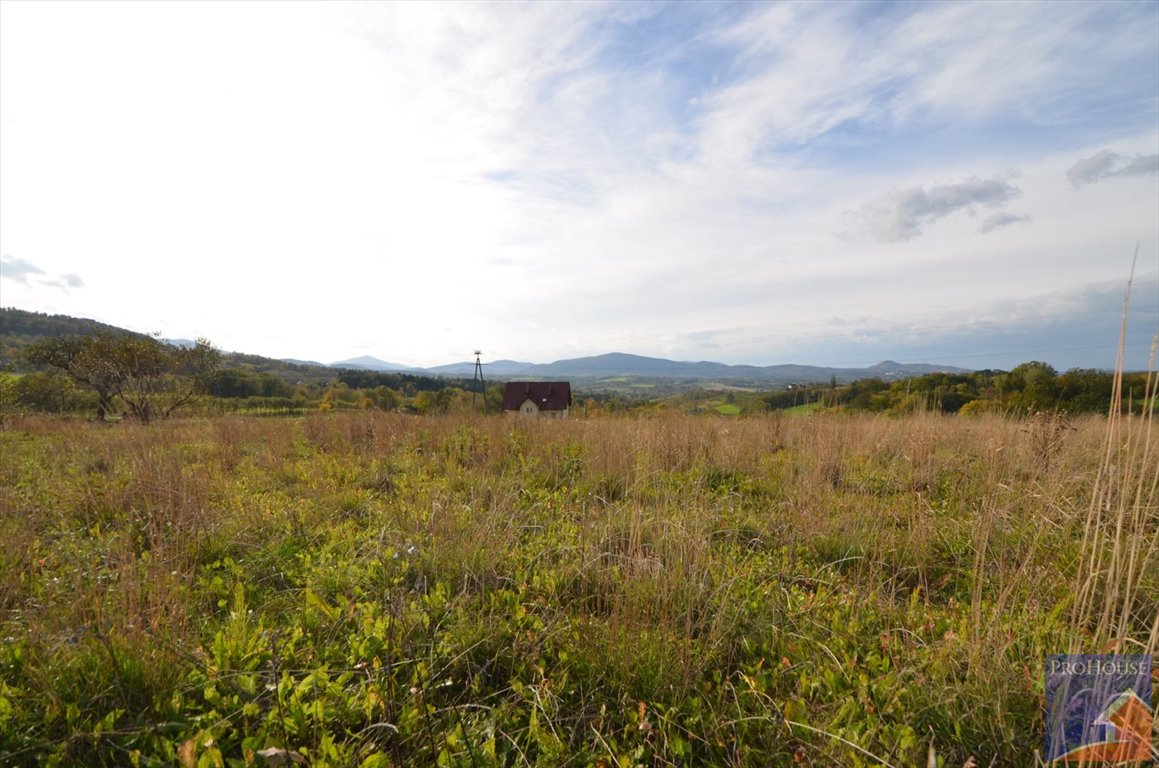 Działka budowlana na sprzedaż Kostrza  5 900m2 Foto 11