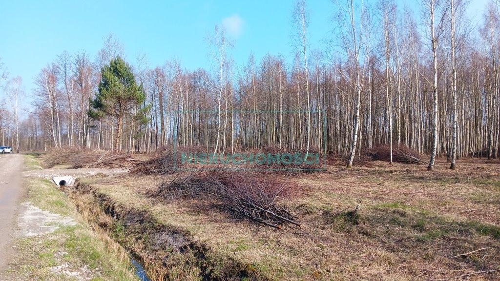 Działka leśna z prawem budowy na sprzedaż Jaktorów  8 700m2 Foto 10