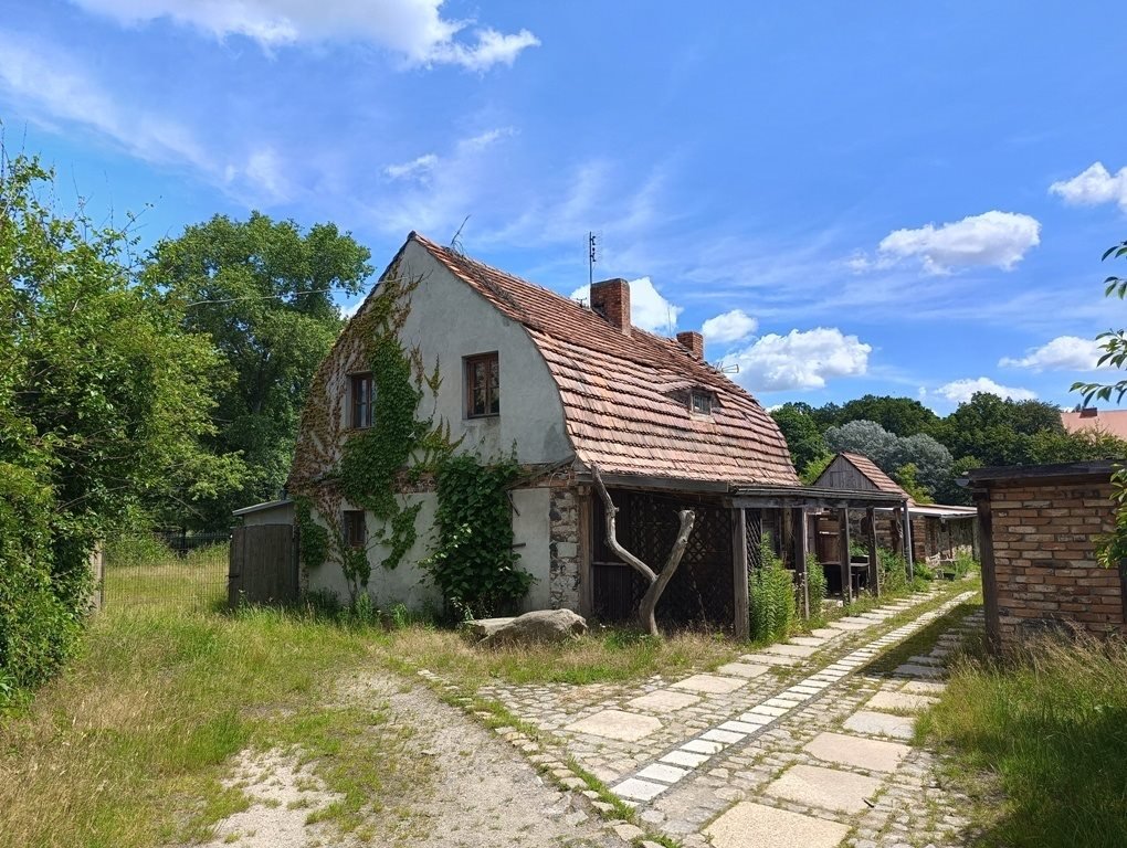 Działka budowlana na sprzedaż Kunów  126 800m2 Foto 1