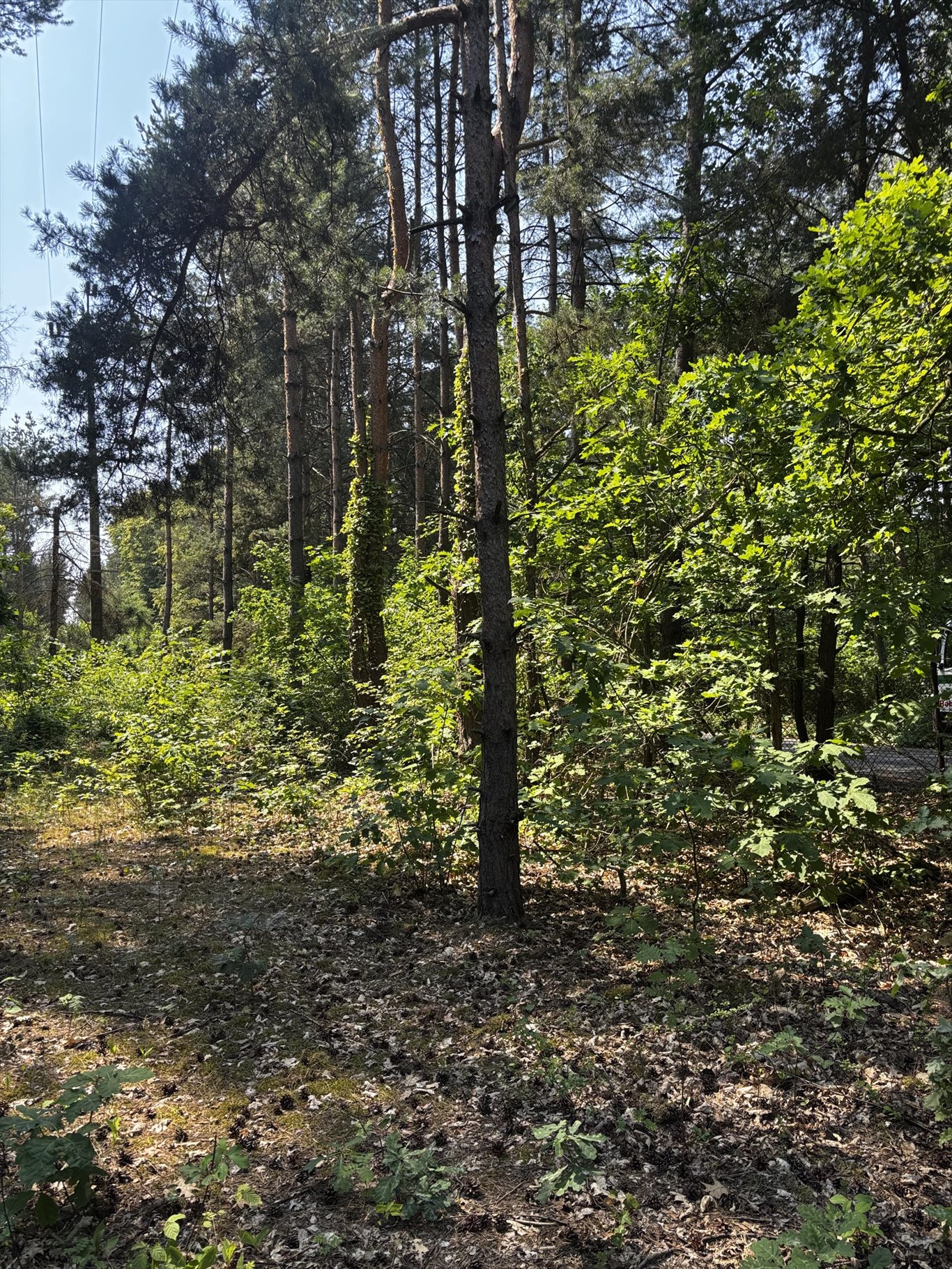 Na sprzedaż działka budowlana 1042 m² pod dom i letnisko Adamów-Wieś, Osiedlowa  1 042m2 Foto 1