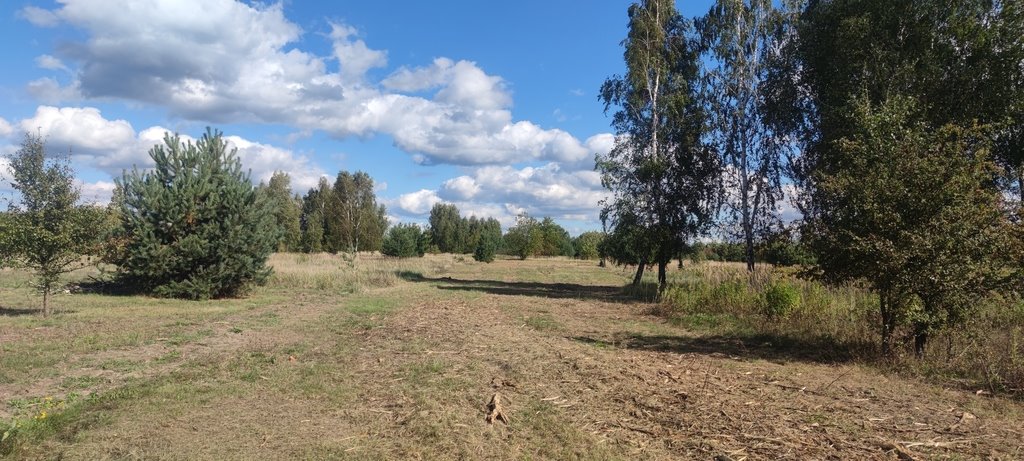 Działka budowlana na sprzedaż Borzęcin Mały, Anyżowa  1 526m2 Foto 6