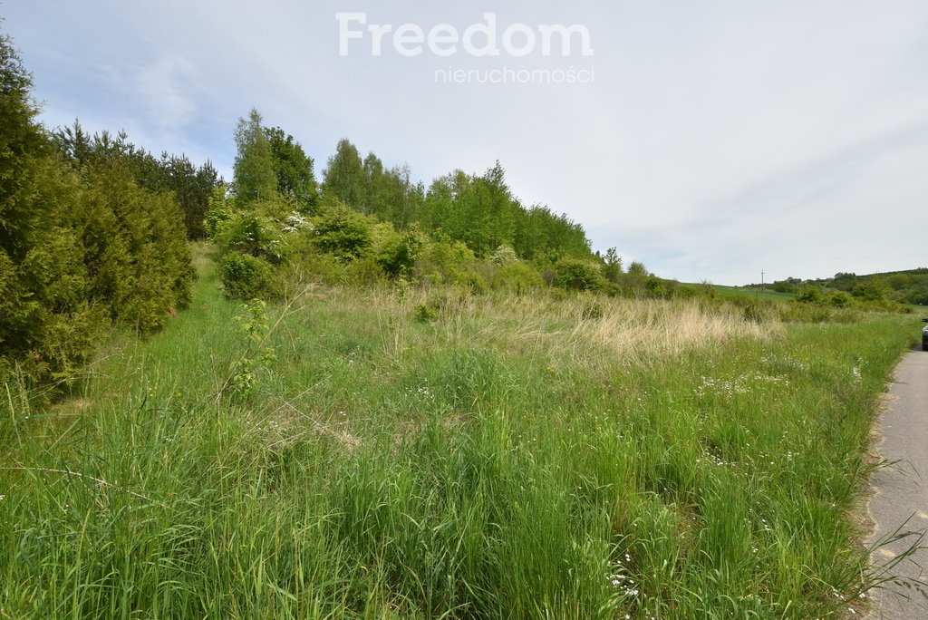 Działka budowlana na sprzedaż Szewna  3 700m2 Foto 8