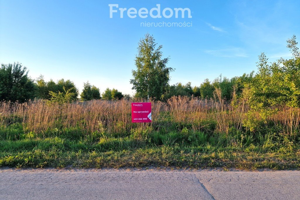 Działka budowlana na sprzedaż Biała Podlaska, Kolonia Francuska  11 896m2 Foto 2