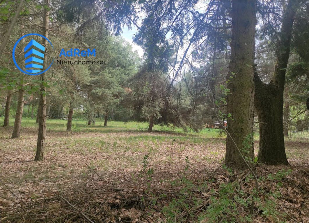 Działka 5800 m2 z mediami, MPZP, Piaseczno Piaseczno  5 833m2 Foto 1