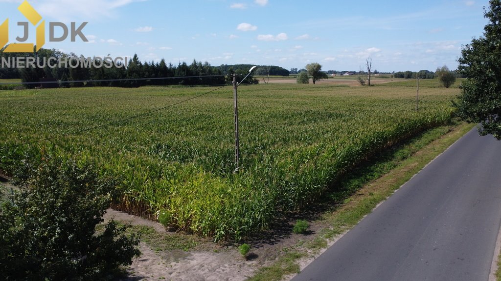 Działka budowlana na sprzedaż Lubiejew  1 308m2 Foto 3