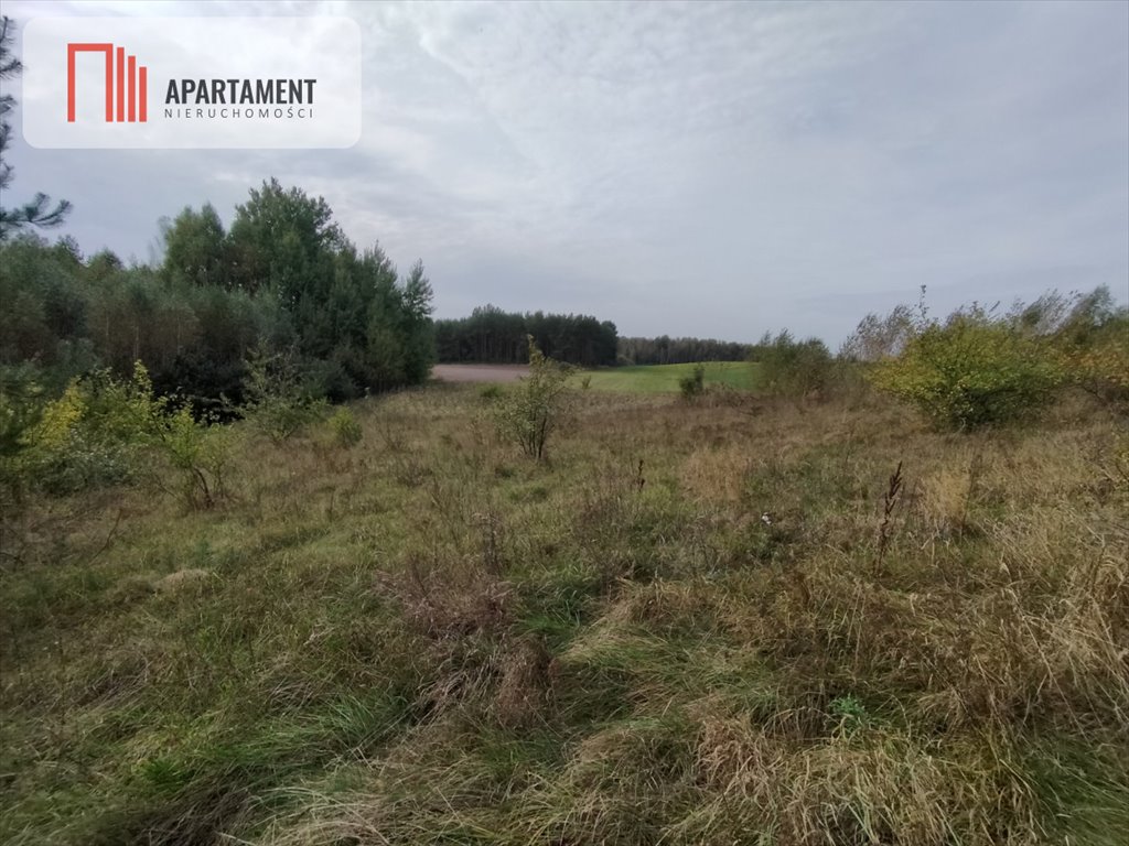 Działka budowlana na sprzedaż Lubichowo, Wybudowanie  900m2 Foto 13