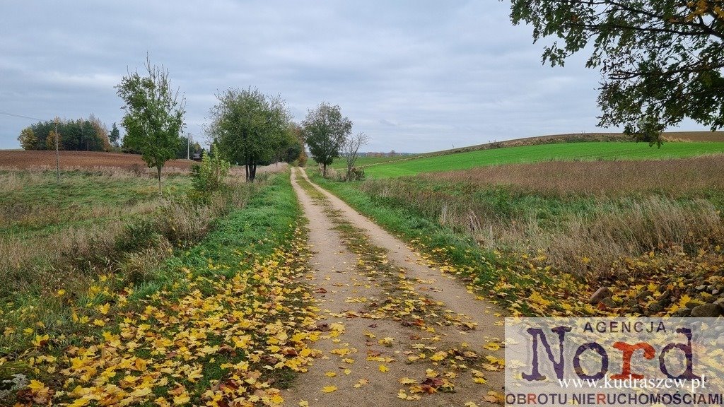 Zapraszam do obejrzenia działki 9 896 m² w Marynowie Marynowo  9 896m2 Foto 1