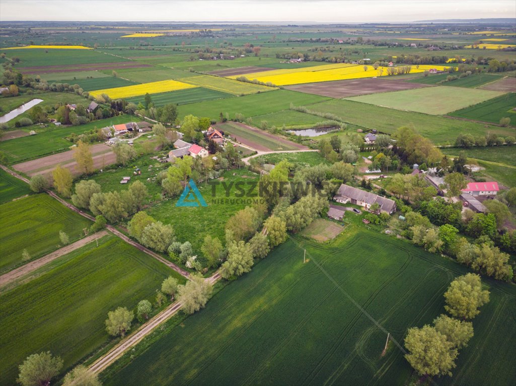Działka rolna na sprzedaż Nowy Dwór Gdański  3 200m2 Foto 6