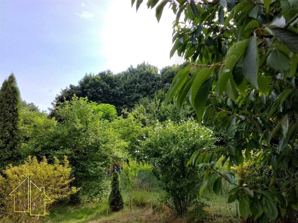 Zapraszam do zakupu działki ROD z domkiem i ogrodem Płock, Miodowa  300m2 Foto 1
