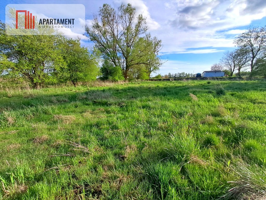Działka budowlana na sprzedaż Wiślinka, Zacisze  1 505m2 Foto 3