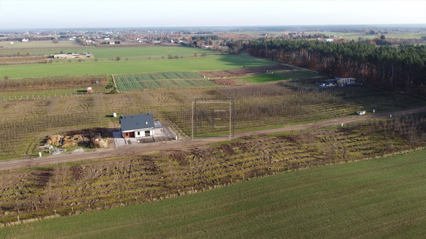 Do sprzedania działki budowlane z warunkami zabudowy w Szczutkach Sicienko, Szczutki  1 320m2 Foto 1