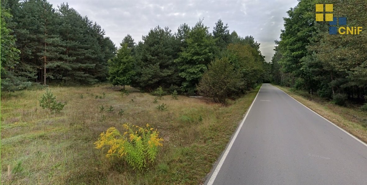Działka 9 870 m² z lasem i możliwością zabudowy - zapraszam Skrajnica  9 870m2 Foto 1