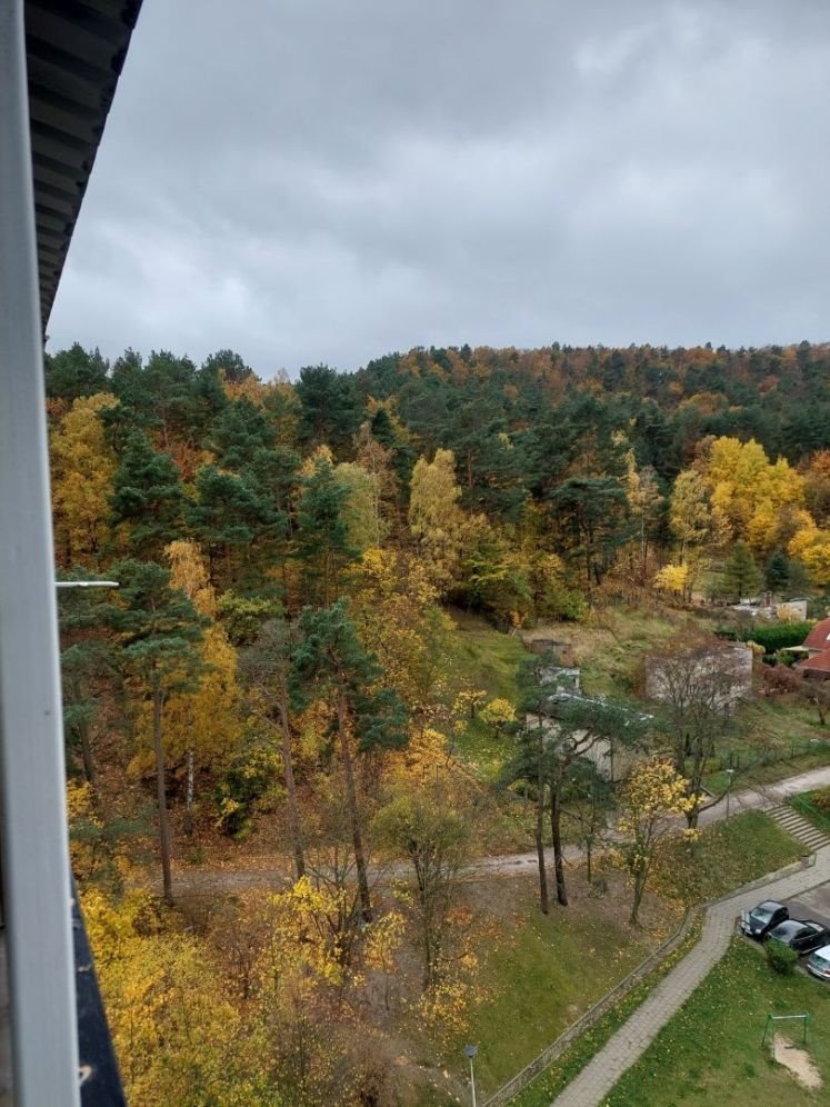 Mieszkanie trzypokojowe na sprzedaż Gdynia, Pustki Cisowskie-Demptowo, Pustki Cisowskie, Owsiana 15  54m2 Foto 12