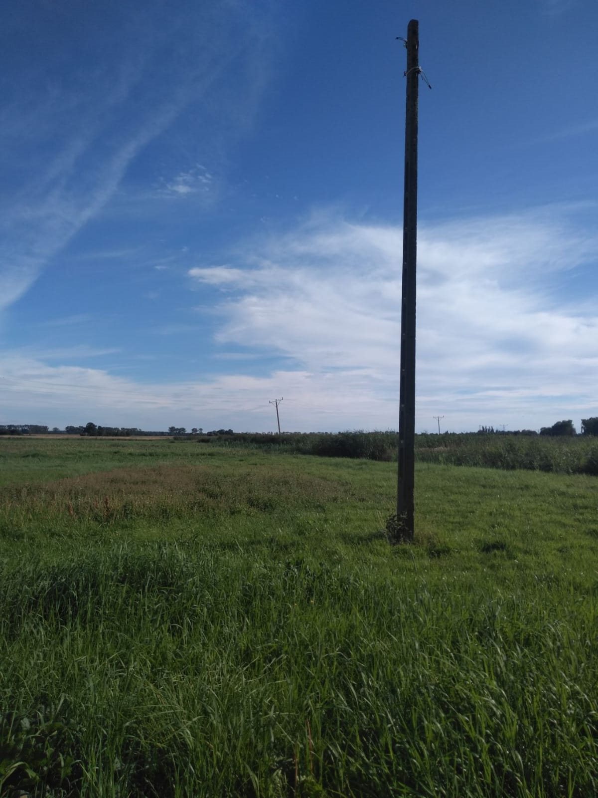 Działka budowlana na sprzedaż Międzyzdroje, Rekowo  1 000m2 Foto 3