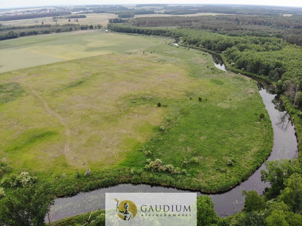 Działka nad rzeką Obra w Karszynie, 10 079 m2, atrakcyjna cena Karszyn  10 079m2 Foto 1