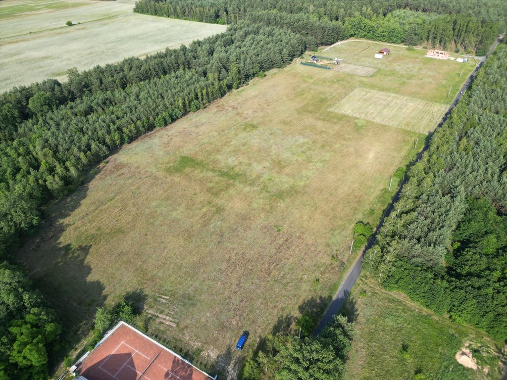 Działka budowlana na sprzedaż Osieczów  1 500m2 Foto 4