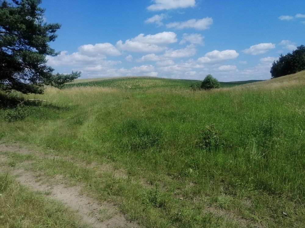 Działka rekreacyjna na sprzedaż Chłopowo  3 800m2 Foto 2