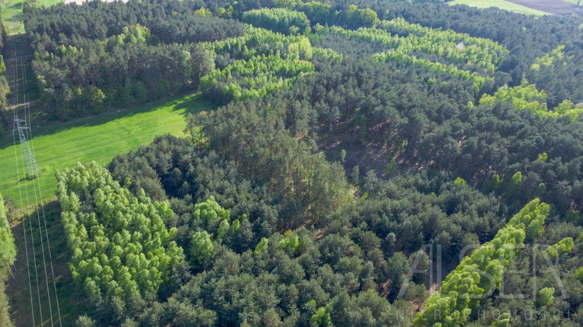 Działka rekreacyjna na sprzedaż Nowe Bosewo, Lipnik  1 245m2 Foto 5