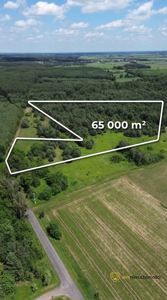 Działka 65,8 ha w Wójcicach (blisko Borów Stobrawskich) Wójcice  65 826m2 Foto 1