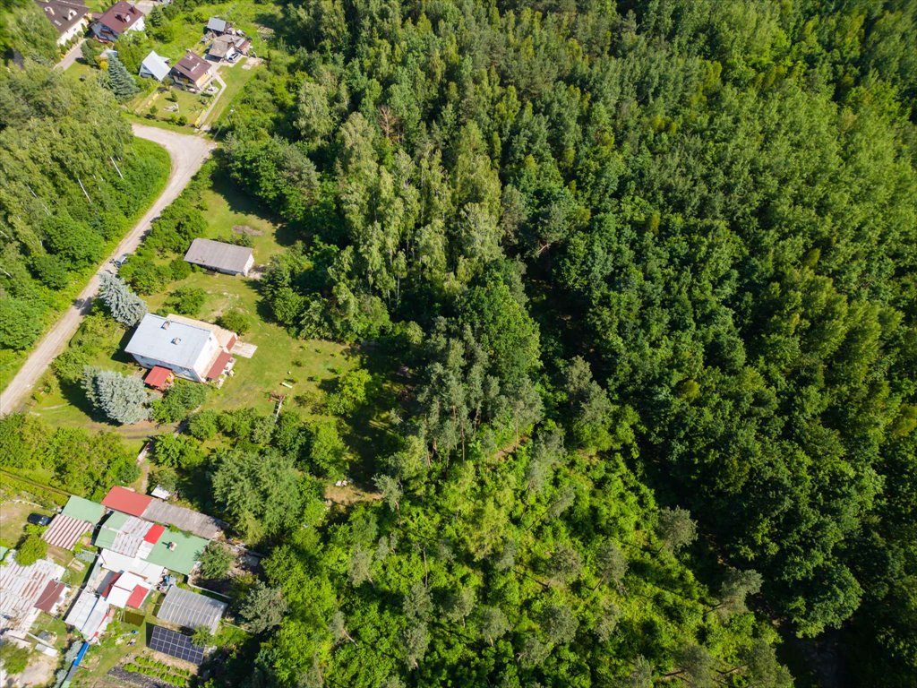 Działka budowlana na sprzedaż Ostrowiec Świętokrzyski, Las Rzeczki  2 356m2 Foto 8