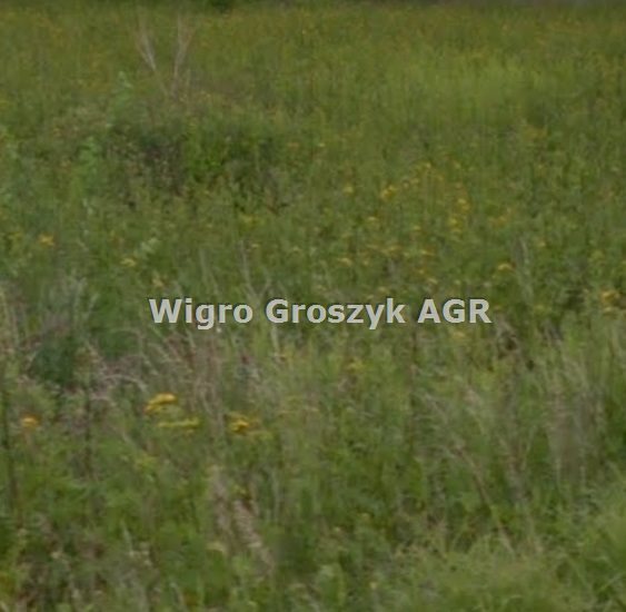 Działka pod zabudowę usługową i magazyny, 6700 m² Czosnów  6 700m2 Foto 1