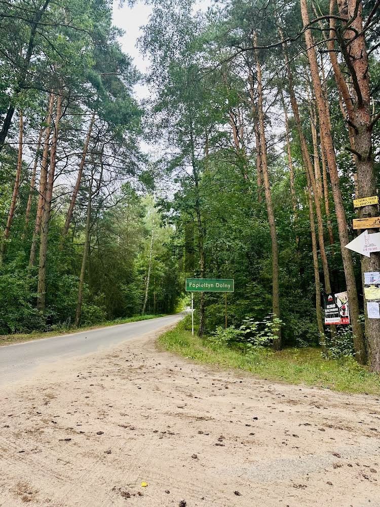 Działka budowlana na sprzedaż Popielżyn Dolny  6 006m2 Foto 1