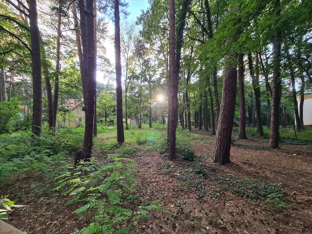 Działka budowlana na sprzedaż Konstancin-Jeziorna, Królewska Góra  2 198m2 Foto 2