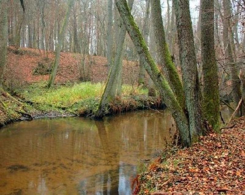 Działka rolna na sprzedaż Tychowo, Wełdkówko  3 000m2 Foto 2