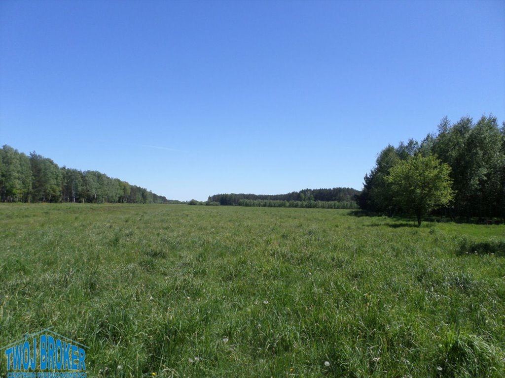 Działka rolna na sprzedaż Strzeczona, Strzeczona  206 000m2 Foto 6