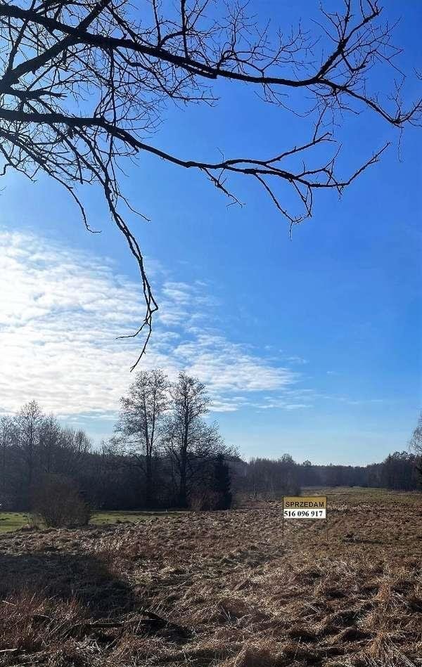 Działka budowlana na sprzedaż Wiśniew  1 700m2 Foto 6