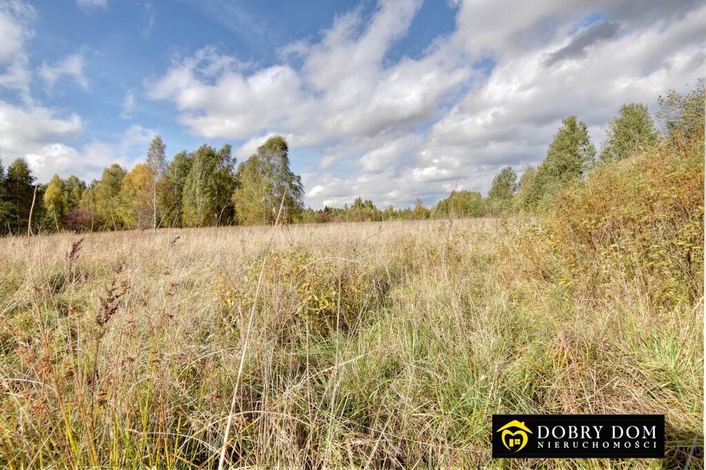 Działka budowlana na sprzedaż Hryniewicze  1 000m2 Foto 11