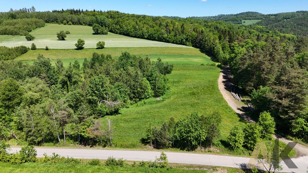 Działka budowlana na sprzedaż Podole-Górowa  4 000m2 Foto 6