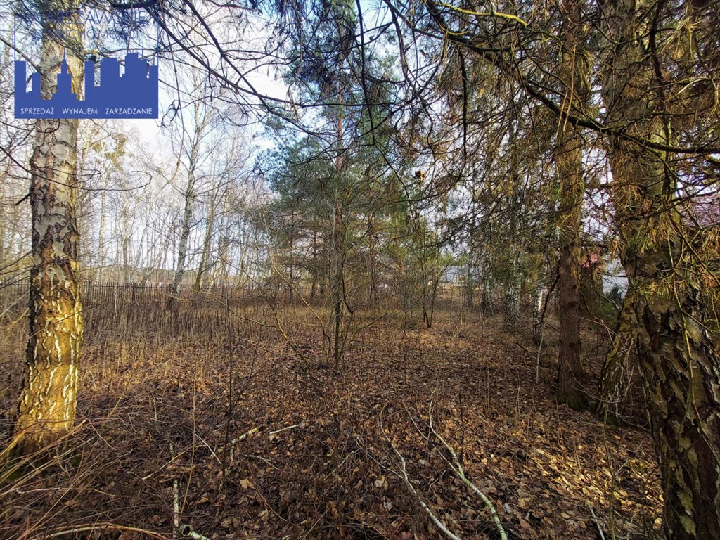 Działka budowlana na sprzedaż Borowina, Zaleśna  1 129m2 Foto 1