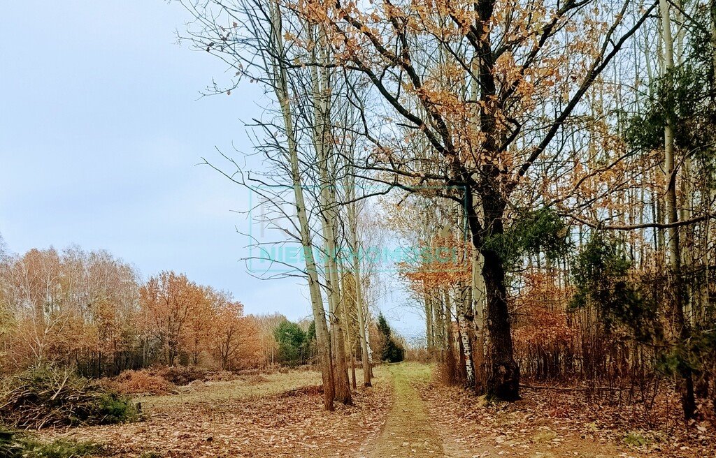 Działka budowlana na sprzedaż Urzut  1 700m2 Foto 7