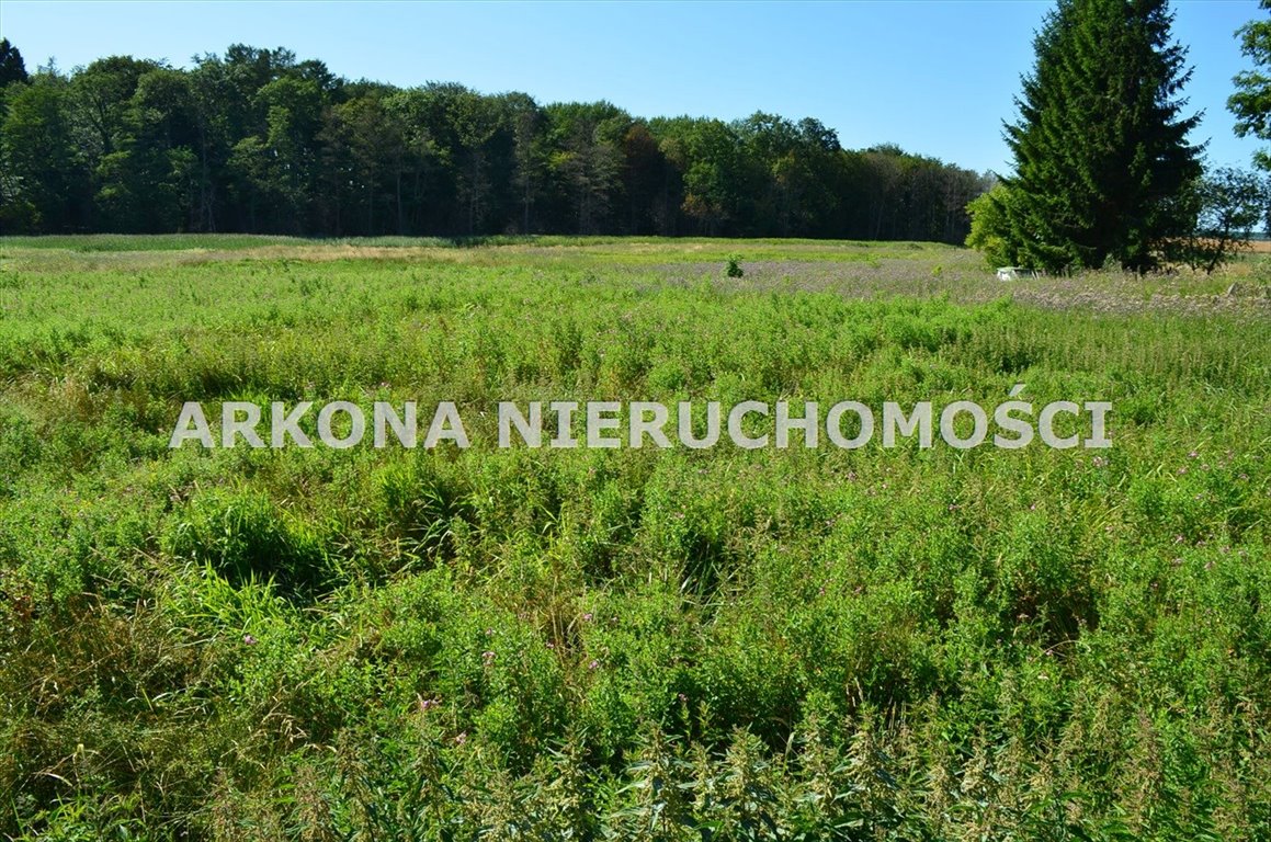 Działka inna na sprzedaż Karnice  8 000m2 Foto 2