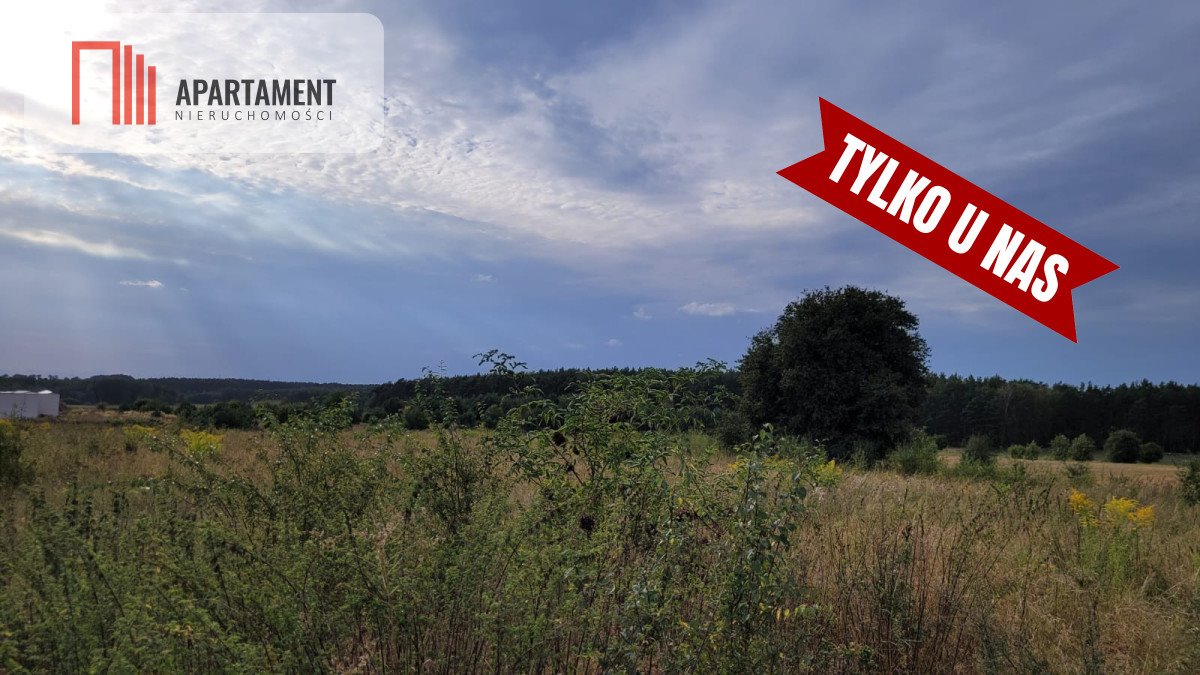 Działka budowlana na sprzedaż Kruszyn  1 000m2 Foto 3