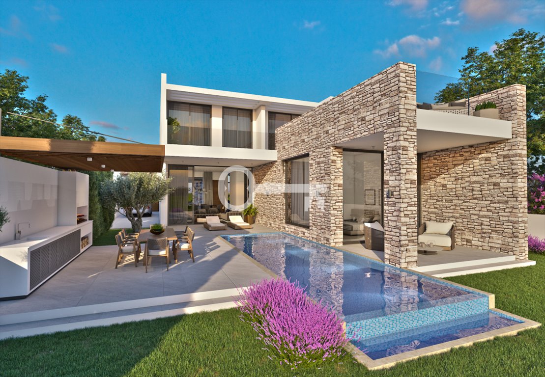 Luksusowe wille nad morzem (pokoje 9, basen, jacuzzi) Cypr, Venus Beach, Venus Beach  393m2 Foto 1