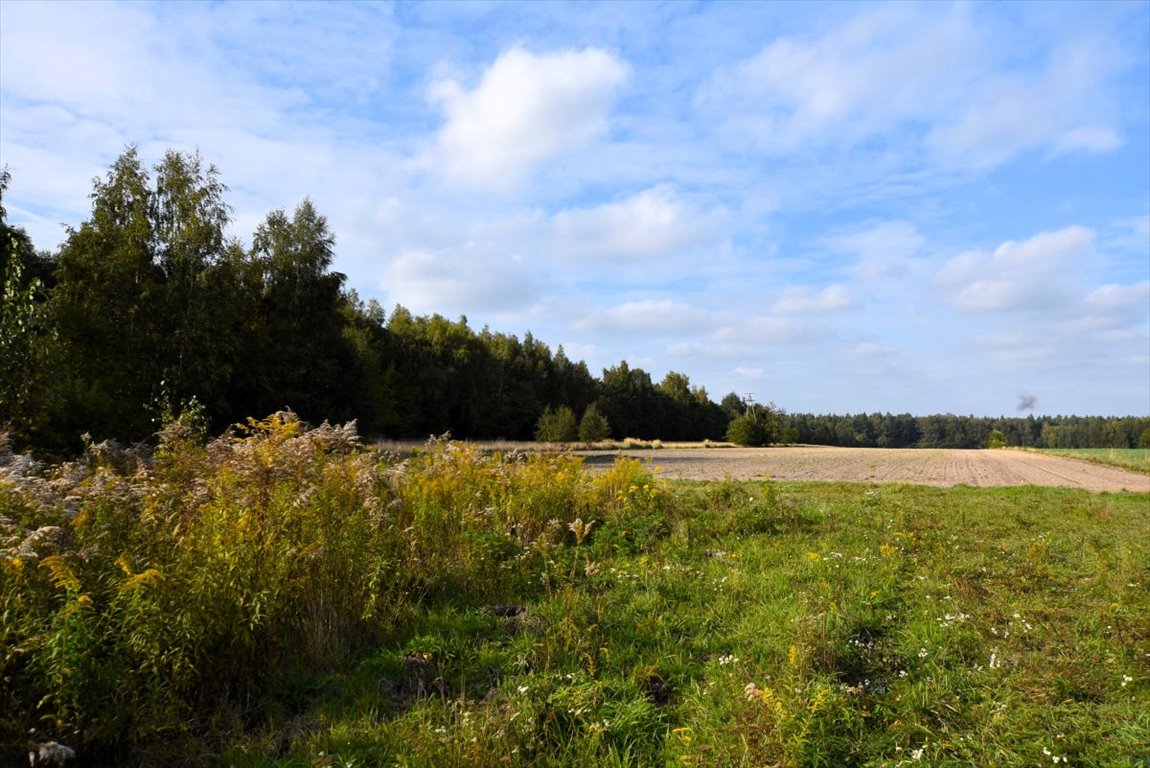 Działka budowlana na sprzedaż Borkowice  900m2 Foto 3