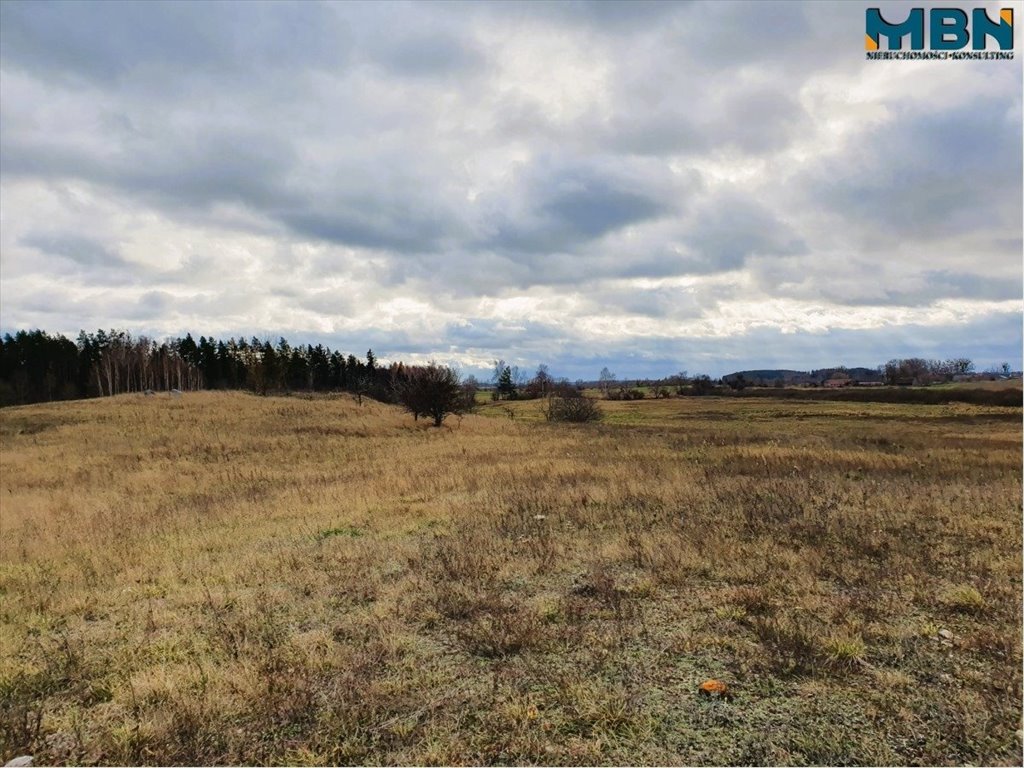 Działka rolna na sprzedaż Tuchlin, Tuchlin  65 579m2 Foto 9