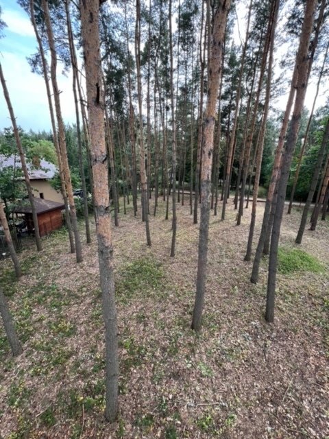 Działka leśna z prawem budowy na sprzedaż Antoniówka, Słowików  1 800m2 Foto 2