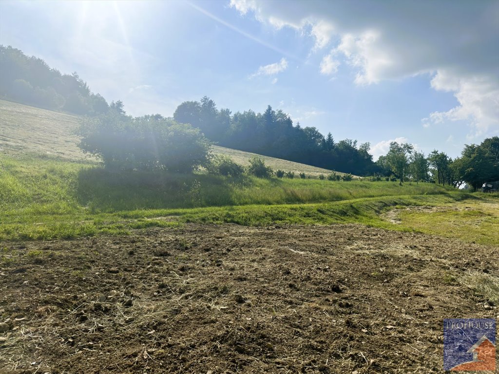 Działka budowlana na sprzedaż Pasierbiec  3 000m2 Foto 9