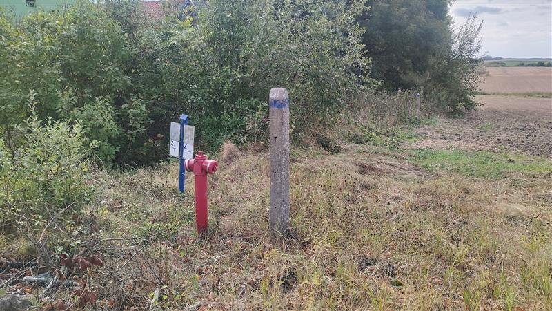 Działka siedliskowa na sprzedaż Lepno, Lepno  3 000m2 Foto 8