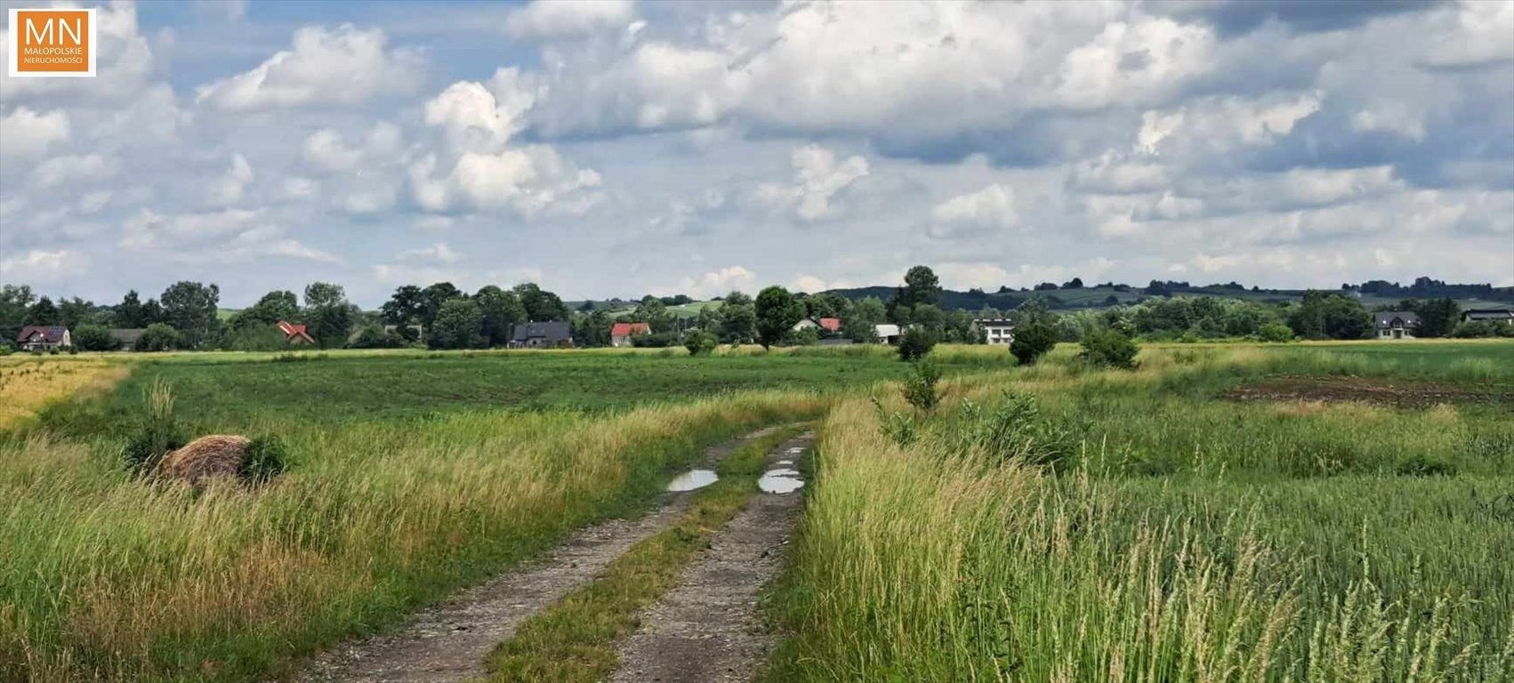 Działka rekreacyjna na sprzedaż Grobla  2 700m2 Foto 10