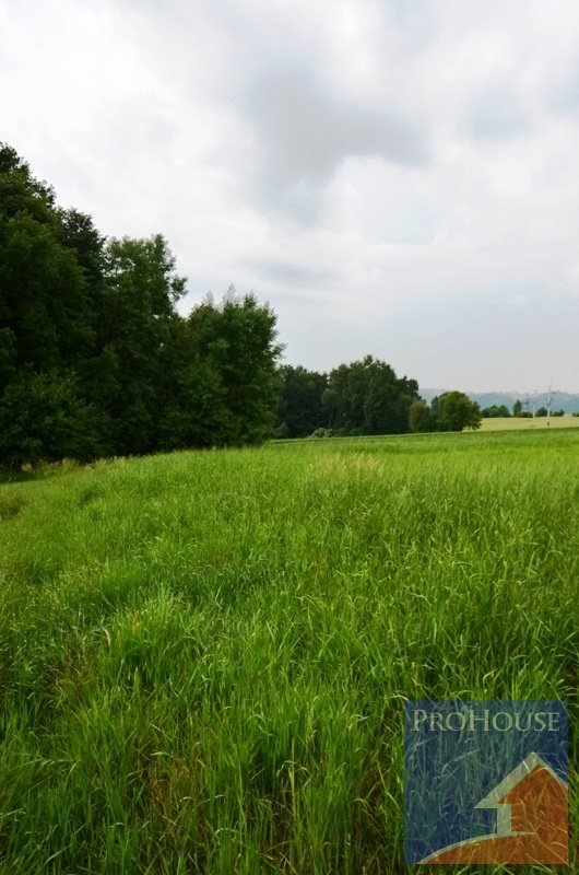 Na sprzedaż działka budowlana 58 ar z mediami i dojazdem Męcina  5 800m2 Foto 1