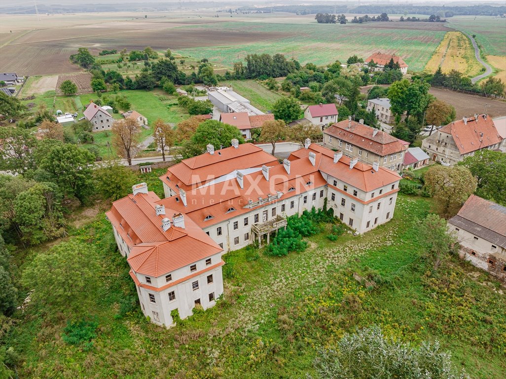 Dom na sprzedaż Małuszów  4 100m2 Foto 8