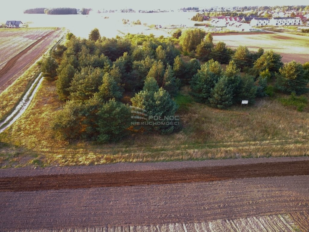 Działka budowlana na sprzedaż Bolesławiec  9 764m2 Foto 2