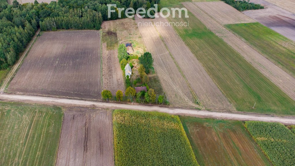 Działka budowlana na sprzedaż Kozłowo  5 000m2 Foto 16