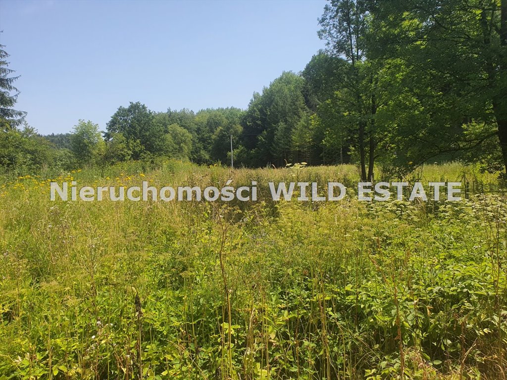 Działka rolno-budowlana z warunkami zabudowy, potok, media Lesko, Bezmiechowa Dolna  1 564m2 Foto 1