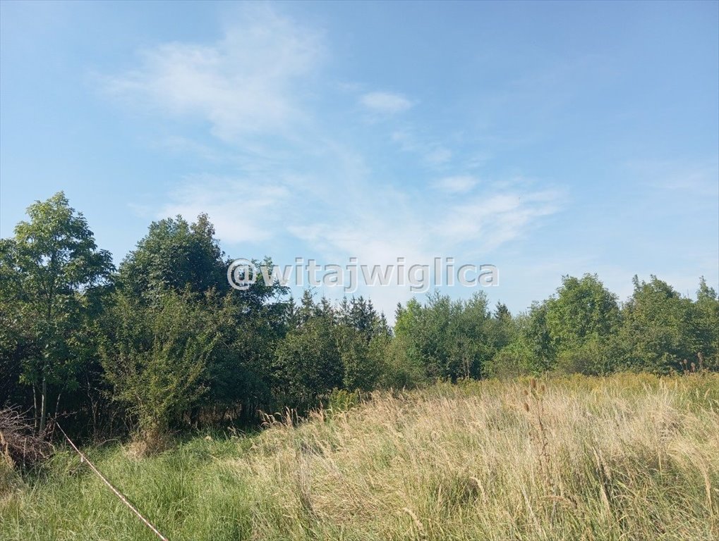 Działka budowlana na sprzedaż Iwiny  700m2 Foto 2